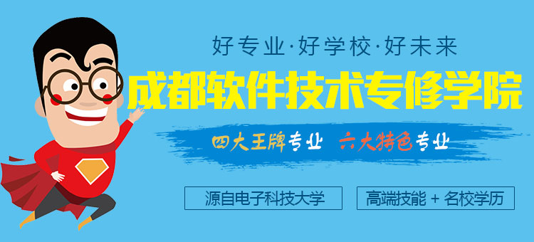 成都软件技术专修学院
